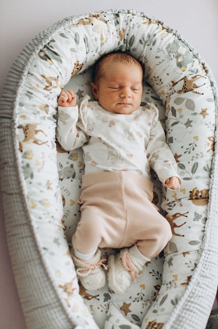 Neugeborenes schlafend im Babynest, Neugeborenenfoto