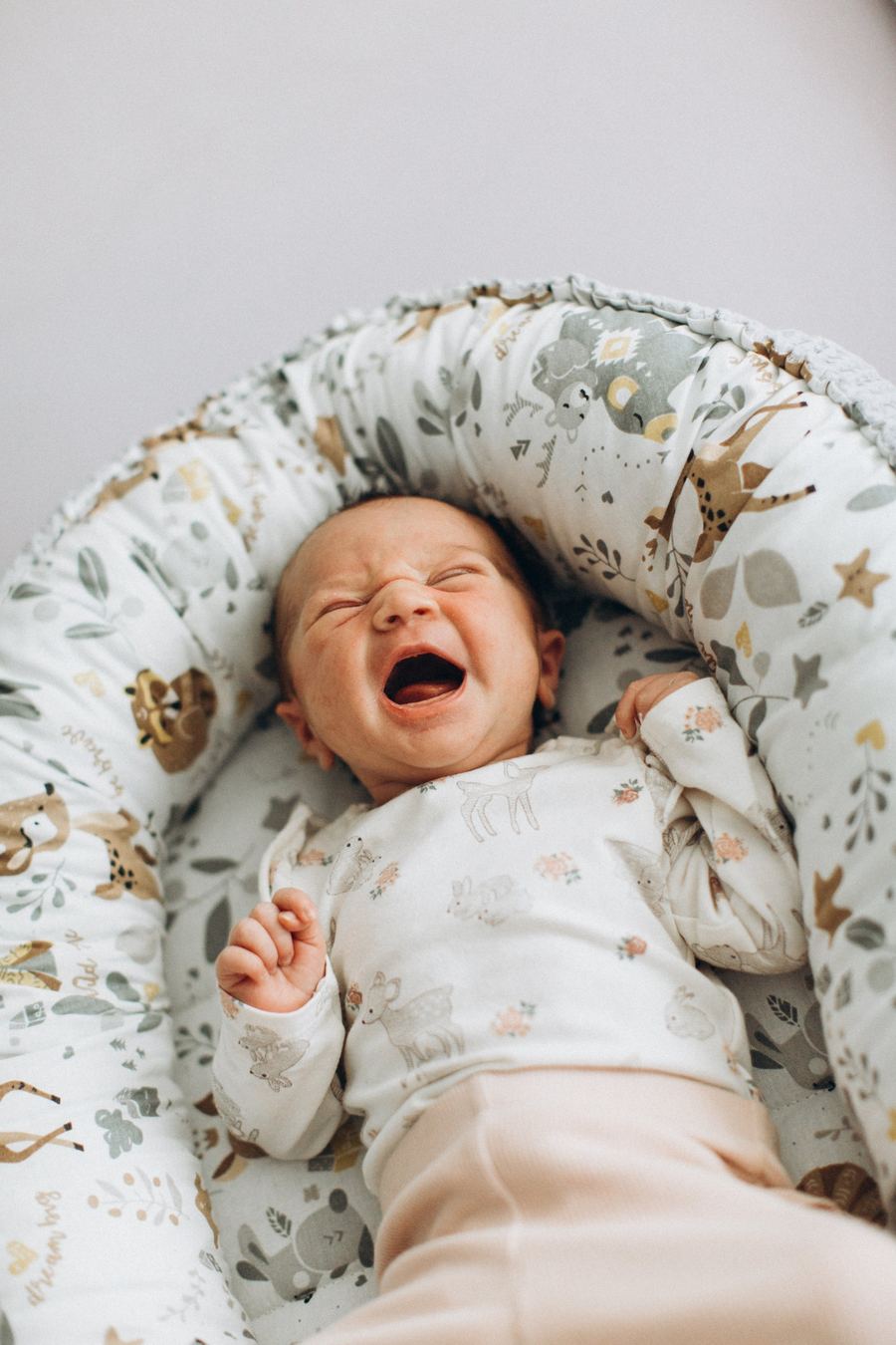 Neugeborenes schlafend im Babynest, Neugeborenenfoto