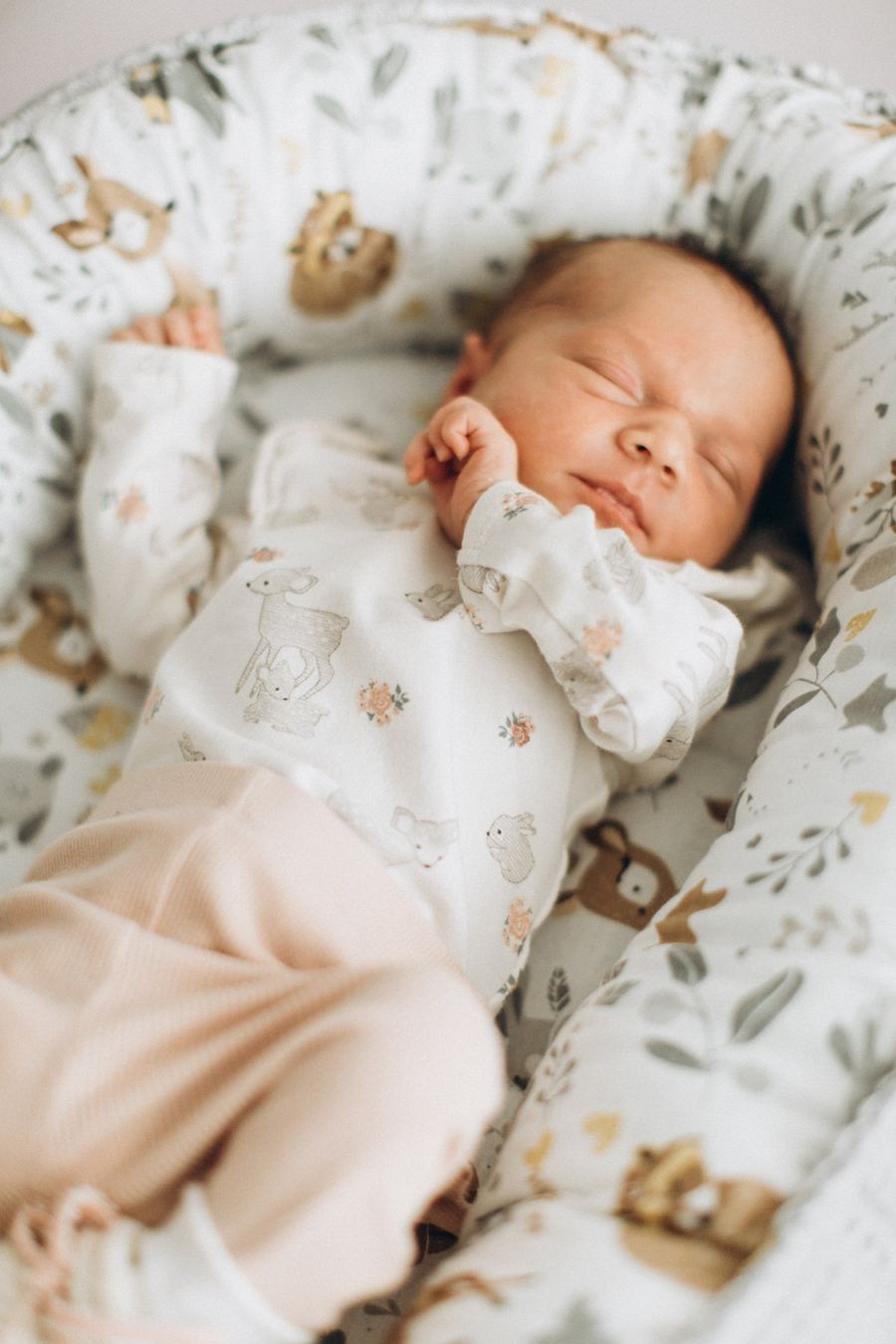 Neugeborenes schlafend im Babynest, Neugeborenenfoto