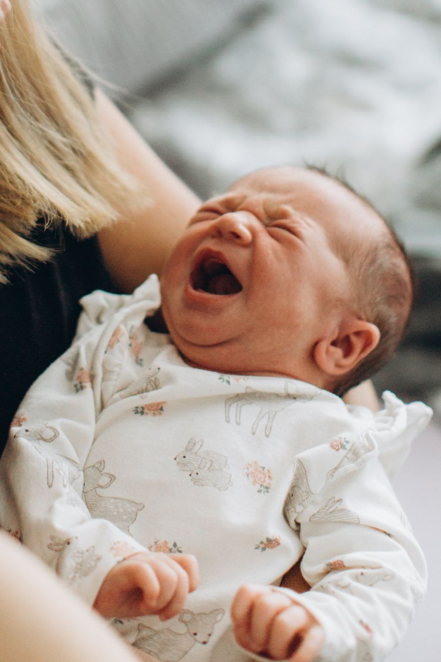 Neugeborenes schlafend im Babynest, Neugeborenenfoto
