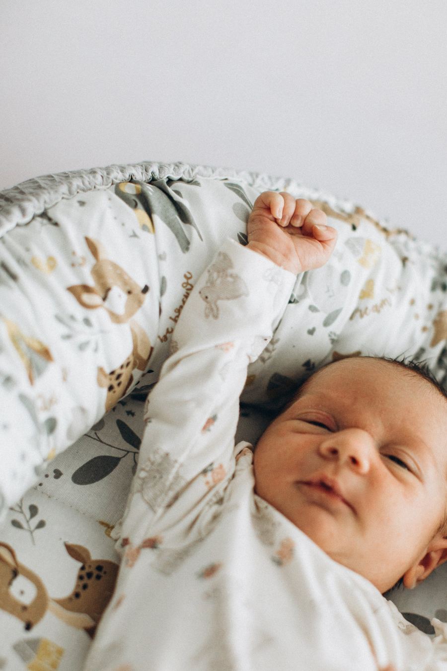 Neugeborenes schlafend im Babynest, Neugeborenenfoto