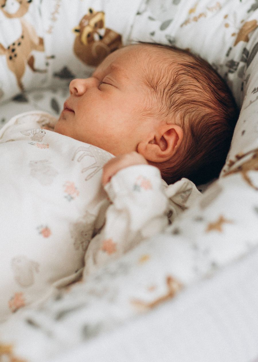 Neugeborenes schlafend im Babynest, Neugeborenenfoto